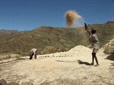 Sorting wheat from chaff